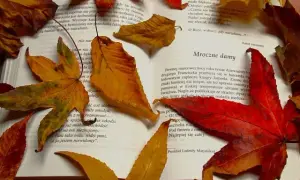 Motyw listu w literaturze: emocje, intrygi i narracyjne funkcje