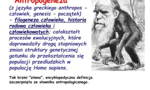 Mity o pochodzeniu człowieka: tajemnice i znaczenie w kulturach