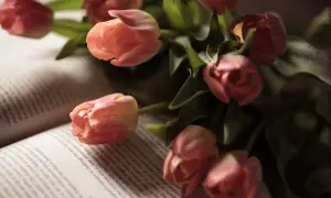 Wiosna wiersz: Odkryj piękno poezji o wiośnie w polskiej literaturze