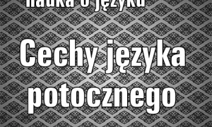 Dlaczego literatura potrzebuje języka potocznego?