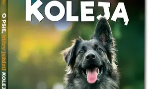 Autor książki o psie który jeździł koleją - historia, która porusza serce