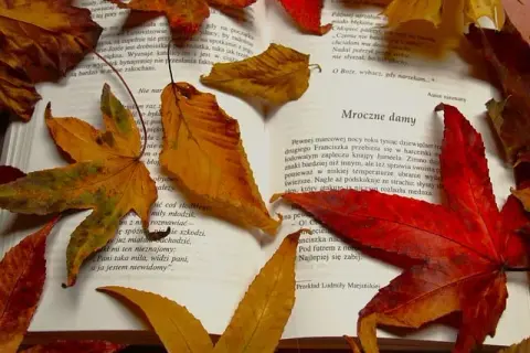 Motyw listu w literaturze: emocje, intrygi i narracyjne funkcje