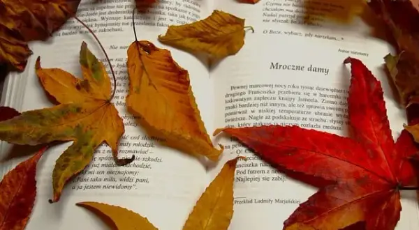 Motyw listu w literaturze: emocje, intrygi i narracyjne funkcje