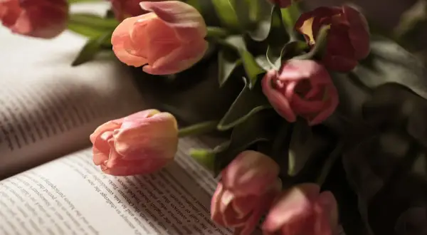 Wiosna wiersz: Odkryj piękno poezji o wiośnie w polskiej literaturze