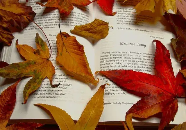 Motyw listu w literaturze: emocje, intrygi i narracyjne funkcje