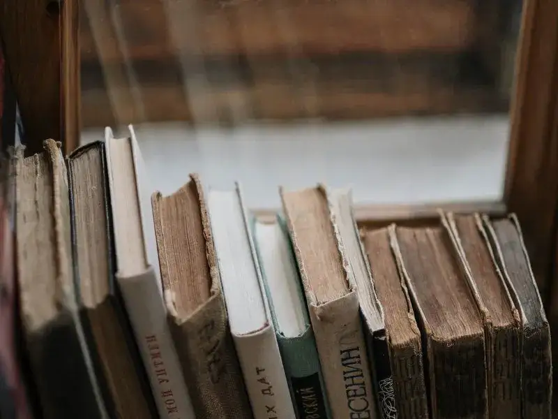 Zdjęcie Co to jest literatura piękna i dlaczego ma ogromne znaczenie?