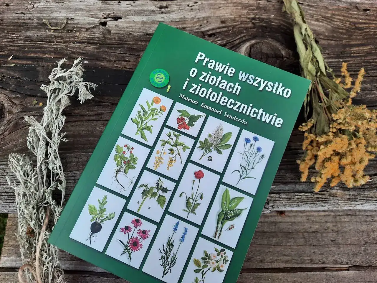 Zdjęcie Najlepsza książka o ziołach – odkryj sekrety naturalnej medycyny