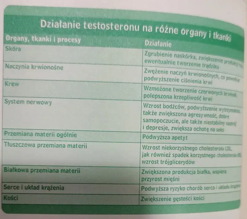 Zdjęcie Mity o hormonach: obalamy najczęstsze błędne przekonania